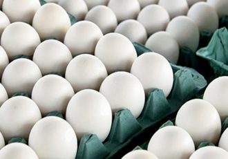 معمای گرانی تخم مرغ