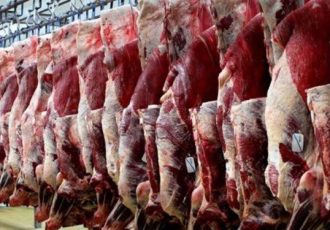 مصرف گوشت گوسفندی کاهش یافت