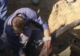 سرقت سوخت هواپیما از یک پالایشگاه سرقت سوخت هواپیما از یک پالایشگاه