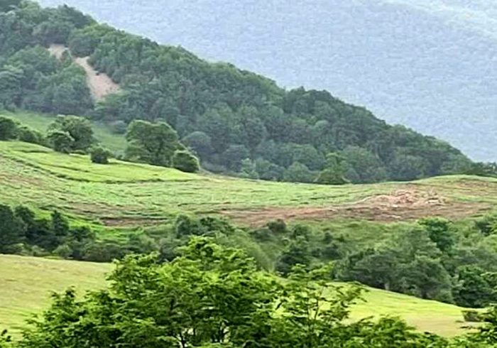 هرگونه خرید و فروش اراضی جنگلی و ملی ممنوع است هرگونه خرید و فروش اراضی جنگلی و ملی ممنوع است