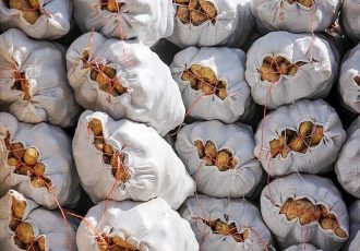اتفاق عجیب در بازار سیب زمینی