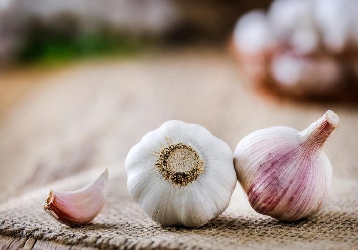 راهحل علمی برای رفع بوی سیر راهحل علمی برای رفع بوی سیر