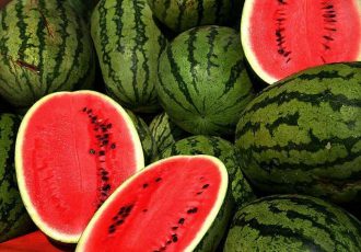 برداشت هندوانه «شب یلدا» در شبه‌جزیره جاسک آغاز شد
