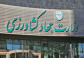 وزارت جهاد کشاورزی ریختن برنج به دریا را تکذیب کرد
